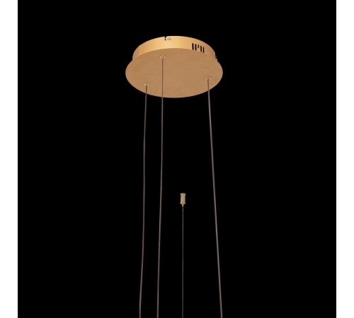 Подвесной светильник Loft it 10017/3L Ring Подвесной светильник Loft it 10017/3L Ring