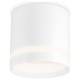 Накладной светильник Ambrella Light TN5371 TN