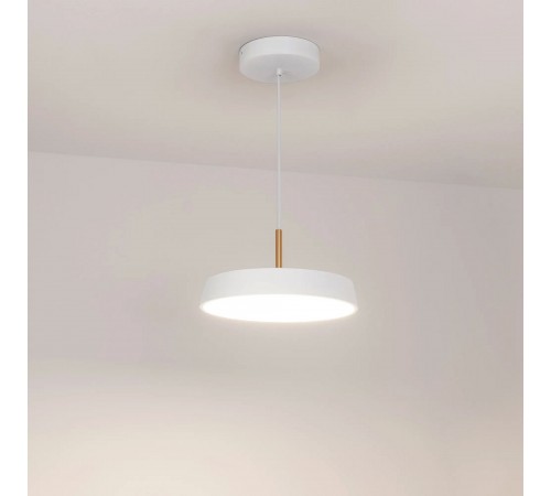 Подвесной светильник Arlight 033919(1) ELEGANT Подвесной светильник Arlight 033919(1) ELEGANT