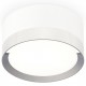Накладной светильник Ambrella Light XS8101003 XS