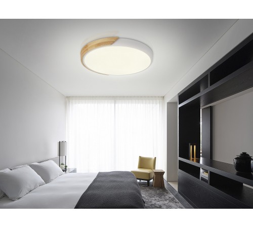 Накладной светильник Natali Kovaltseva LED LAMPS 81181 Scandinavian Накладной светильник Natali Kovaltseva LED LAMPS 81181 Scandinavian