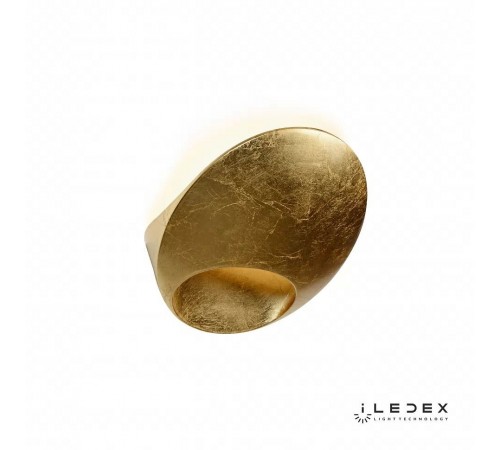 Накладной светильник iLedex ZD8152-6W Gold Light Flux