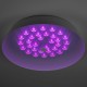 Накладной светильник Эра SPB-6-60-RC Locus RGB