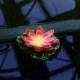 Растение Uniel UL-00011599 WATERLILY