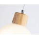 Подвесной светильник Ambrella Light TR83133 TR