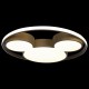 Накладной светильник Loft it 10168 Mike