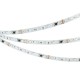 Лента светодиодная Arlight 039183 B60