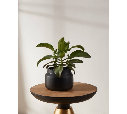 Кашпо (210x155) Parkent 428145 Кашпо (210x155) Parkent 428145