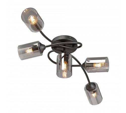 Потолочная люстра Vitaluce V2048-1/5PL V2048 Потолочная люстра Vitaluce V2048-1/5PL V2048