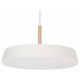Подвесной светильник Arlight 033919(1) ELEGANT