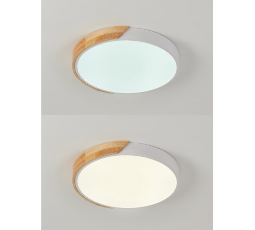 Накладной светильник Natali Kovaltseva LED LAMPS 81181 Scandinavian Накладной светильник Natali Kovaltseva LED LAMPS 81181 Scandinavian