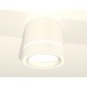 Накладной светильник Ambrella Light XS8110004 XS