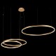 Подвесной светильник Loft it 10017/3M Ring