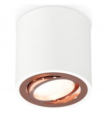 Накладной светильник Ambrella Light XS7531005 XS