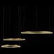 Подвесной светильник Loft it 10017/3M Ring