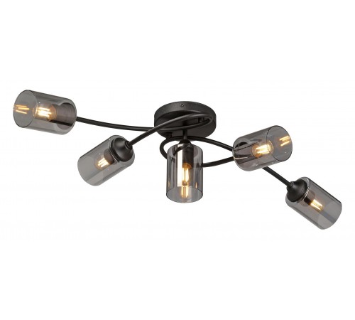 Потолочная люстра Vitaluce V2048-1/5PL V2048 Потолочная люстра Vitaluce V2048-1/5PL V2048