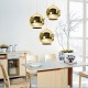 Подвесной светильник Loft it LOFT2024-E Copper Shade