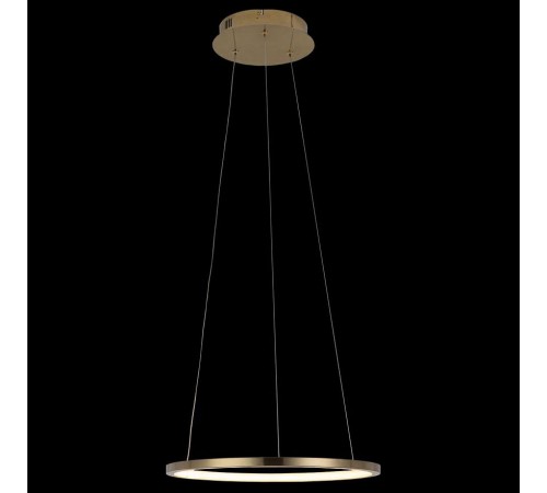 Подвесной светильник Loft it 10014S Ring Подвесной светильник Loft it 10014S Ring
