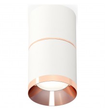 Накладной светильник Ambrella Light XS7401221 XS