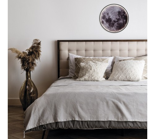 Накладной светильник Escada 10226/SG LED Mars Planet Накладной светильник Escada 10226/SG LED Mars Planet