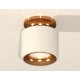 Накладной светильник Ambrella Light XS7510121 XS