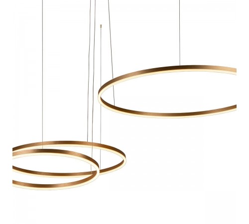 Подвесной светильник Loft it 10017/3L Ring Подвесной светильник Loft it 10017/3L Ring