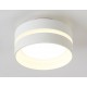 Накладной светильник Ambrella Light TN5419 TN