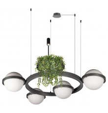 Подвесная люстра Loft it 10121/4 Dark grey Jardin