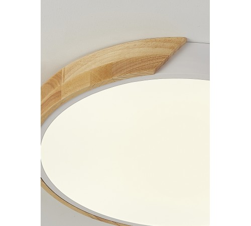 Накладной светильник Natali Kovaltseva LED LAMPS 81181 Scandinavian Накладной светильник Natali Kovaltseva LED LAMPS 81181 Scandinavian