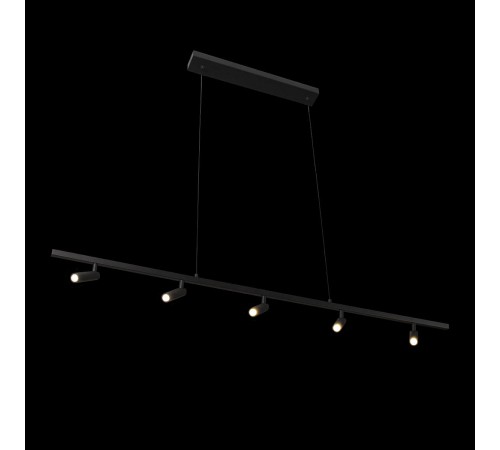 Подвесной светильник Loft it 10260/5 Black Sign