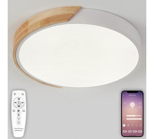 Накладной светильник Natali Kovaltseva LED LAMPS 81181 Scandinavian Накладной светильник Natali Kovaltseva LED LAMPS 81181 Scandinavian