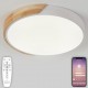 Накладной светильник Natali Kovaltseva LED LAMPS 81181 Scandinavian