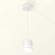 Подвесной светильник Ambrella Light XP8110021 XP