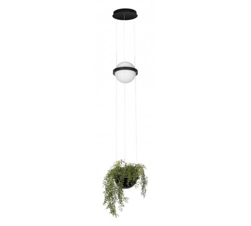 Подвесной светильник Loft it 10121/B Jardin