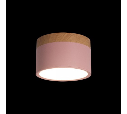 Накладной светильник Loft it 10162 Pink Grape Накладной светильник Loft it 10162 Pink Grape
