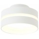 Накладной светильник Ambrella Light TN5419 TN