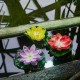 Растение Uniel UL-00011599 WATERLILY