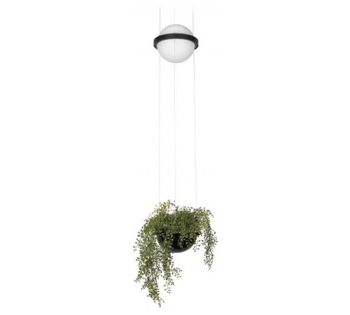 Подвесной светильник Loft it 10121/B Jardin