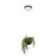 Подвесной светильник Loft it 10121/B Jardin