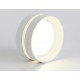 Накладной светильник Ambrella Light TN5419 TN
