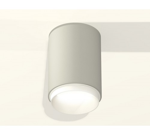 Накладной светильник Ambrella Light XS6314020 XS