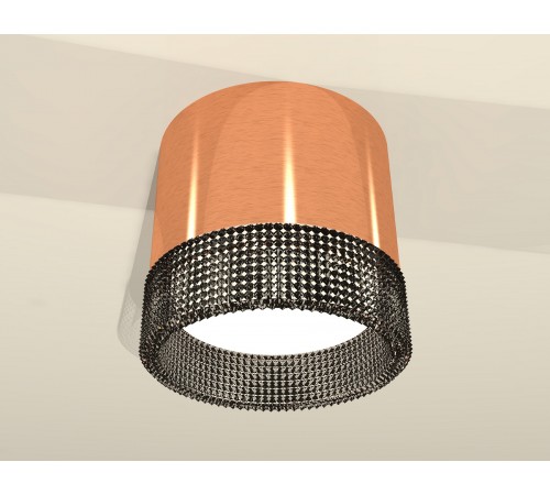 Накладной светильник Ambrella Light XS8122021 XS Накладной светильник Ambrella Light XS8122021 XS