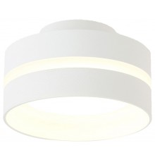 Накладной светильник Ambrella Light TN5419 TN