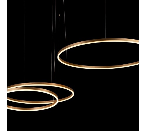 Подвесной светильник Loft it 10017/3L Ring Подвесной светильник Loft it 10017/3L Ring
