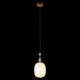 Подвесной светильник Loft it 10365/F Family