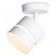 Спот Ambrella Light TN71055 TN