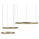 Подвесной светильник Loft it 10017/3L Ring