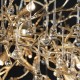Подвесная люстра Loft it 10067/1500 GD Bijout
