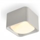Накладной светильник Ambrella Light XS7834011 XS
