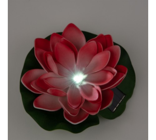 Растение Uniel UL-00011599 WATERLILY Растение Uniel UL-00011599 WATERLILY